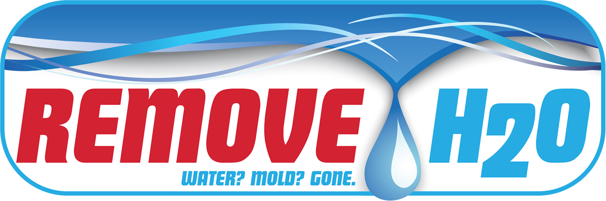 RemoveH2O water and mold removal